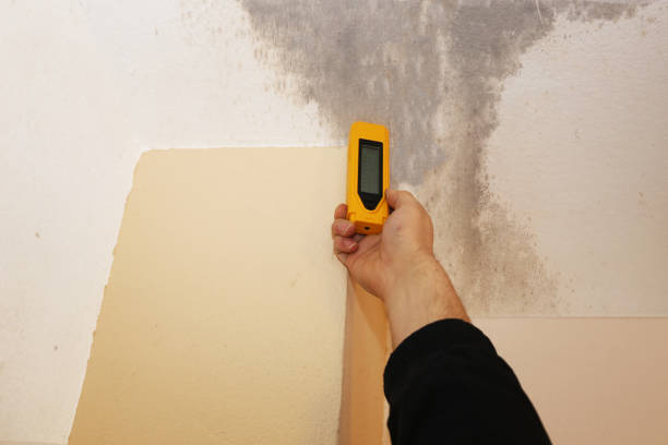 Dehumidification Services in Montana City, MT