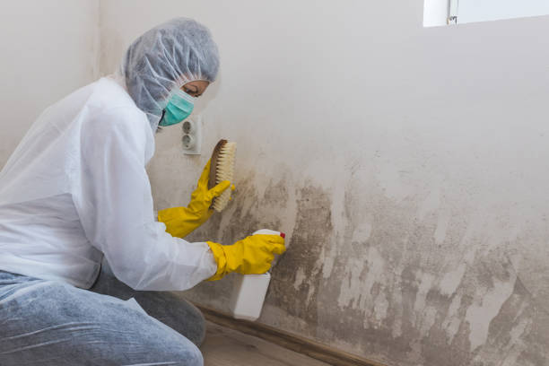 Best Asbestos and Lead Testing During Mold Inspection  in Montana City, MT