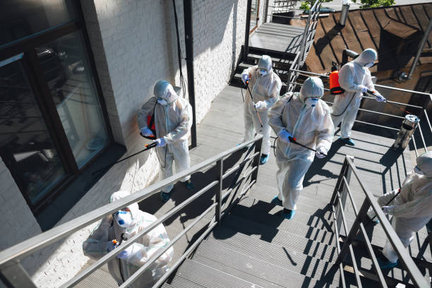 Best Mold Odor Removal Services  in Montana City, MT