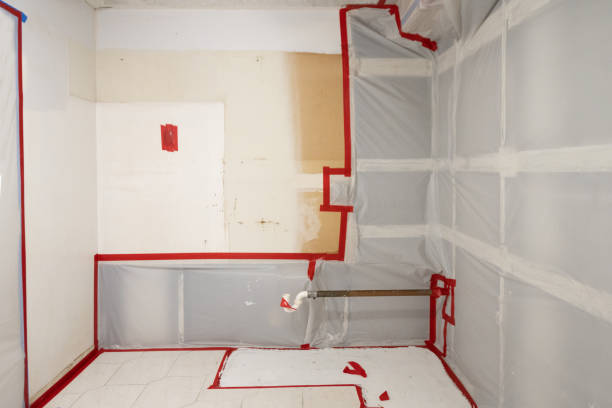Best Biohazard Mold Removal  in Montana City, MT