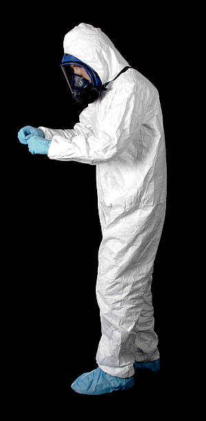 Best Residential Mold Inspection & Testing  in Montana City, MT
