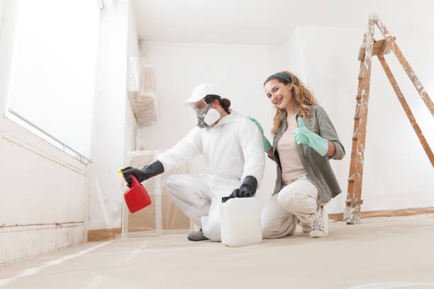 Best Air Quality Testing for Mold Spores  in Montana City, MT